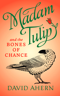 'Madam Tulip and the Bones of Chance' by David Ahern
